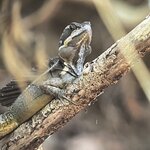 Photo taken by Martin L