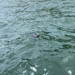 Photo taken by Mike C