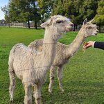 Photo taken by Maggie W