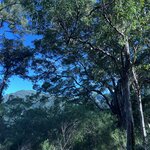 Photo taken by Rosemary S