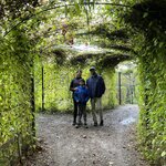 Photo taken by Jaya C