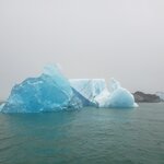 Photo taken by Amy C