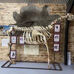 Photo taken by Kelsey D