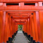 Photo taken by Joy W