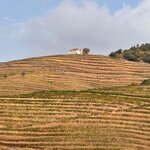 Photo taken by Raquel K