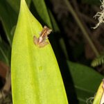 Photo taken by rebecca t