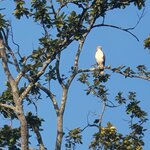 Photo taken by Cayden S