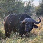 Photo taken by rhonda c