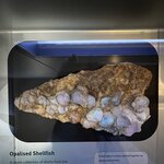 Photo taken by Rosemary S