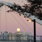 Photo taken by Maggie W