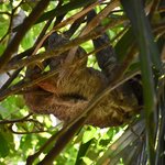 Photo taken by William R