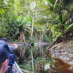 Photo taken by Patricia D