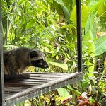 Photo taken by Uriah C