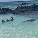 Photo taken by Stephanie A