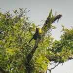 Photo taken by Mordechay T