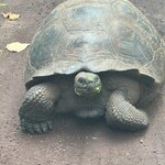 Photo taken by Thomas L