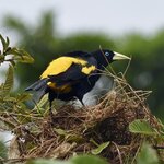 Photo taken by Joseph P