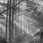 Photo taken by Derek A