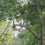 Photo taken by Katherine J