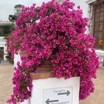 Photo taken by Kimberly A