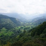 Coffee region | Photo taken by Ella W