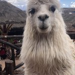 Photo taken by Denisse G