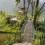 Photo taken by Wayne D