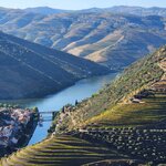 Photo taken by Wayne Z