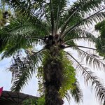 Photo taken by Esther B