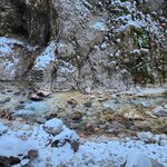 Photo taken by Jocelyn C