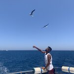 Photo taken by Lisa W