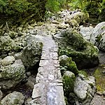 Photo taken by Kim R