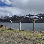 Photo taken by Tom B