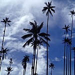 Photo taken by Janice B