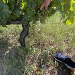 Photo taken by Debra D