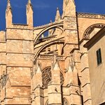 Photo taken by Suzanne C