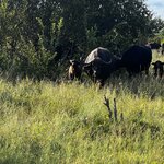 Photo taken by Crystall P