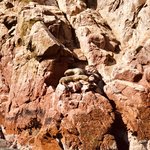 Photo taken by Denisse G