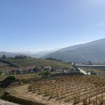 Photo taken by Dee C