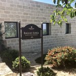 An afternoon of  wine tasting | Photo taken by ingrid B