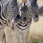 Photo taken by Joaquin M