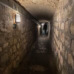 Photo taken by Beatrix P