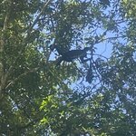 Photo taken by Kim L