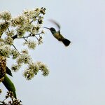 Photo taken by Brett F