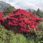 Photo taken by kevin c