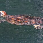 Photo taken by mindy n