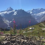 Photo taken by Oliver L