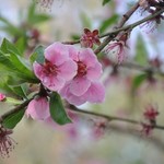 - | Photo taken by Karen W