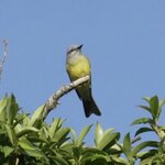 Photo taken by Joyce C