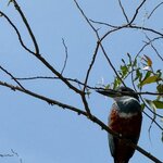 Photo taken by Kakoli K